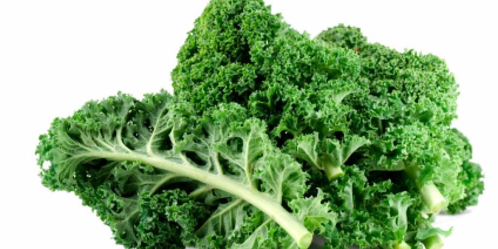 chou frisé non pommé