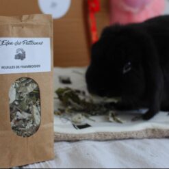 Alternative view of Feuilles de Framboisier