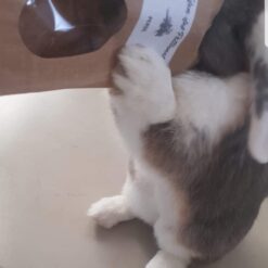 Alternative view of Persil