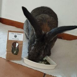 Alternative view of Granulés de persil