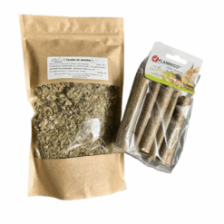 Pack nature noisetier 2 en 1