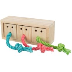 jeu d'intelligence lapin