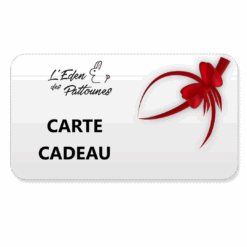 Carte cadeau