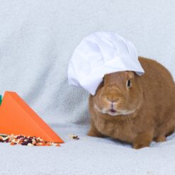 Alternative view of Mix du Jour