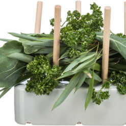 Alternative view of Mangeoire