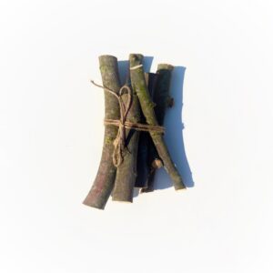 Fagot de bois de noisetier de la Marne