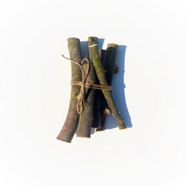 Fagot de bois de noisetier de la Marne