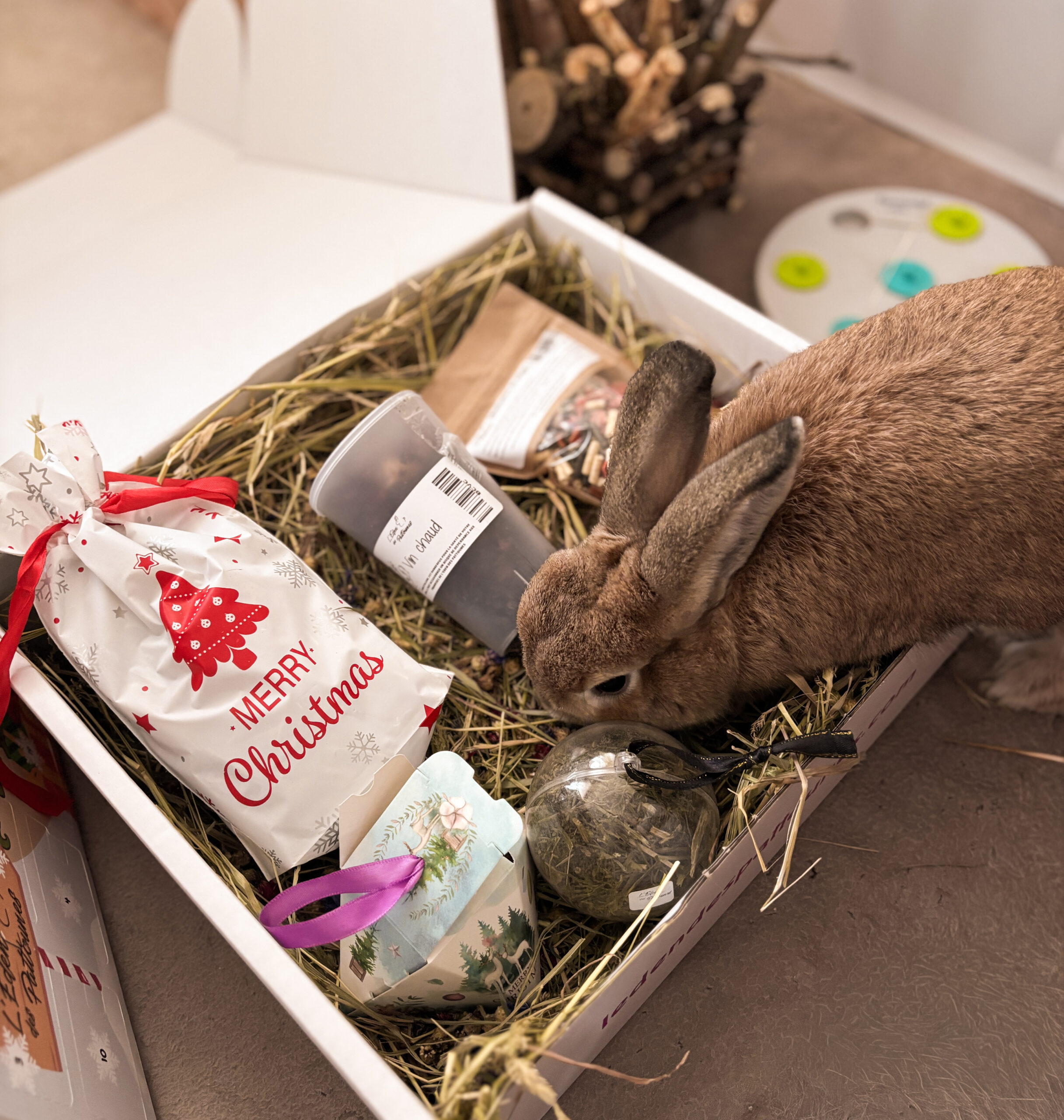 Box mensuelle pour lapins – Image 4