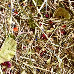 Alternative view of Box de fouille