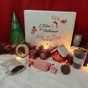 Box Premium Noël (Edition limitée)