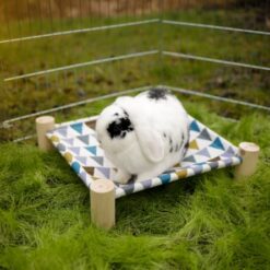 Alternative view of Hamac