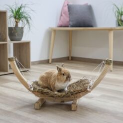 Alternative view of Hamac en herbe