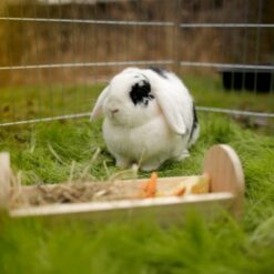 Alternative view of Mangeoire en bois