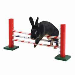 Alternative view of Parcours pour lapin