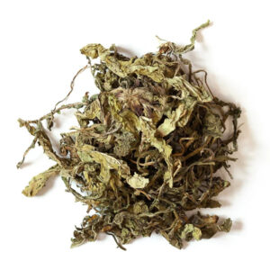 Feuilles de pissenlit 25 g