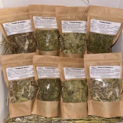 Alternative view of Box Feuilles