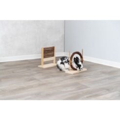 Alternative view of Set d'agility