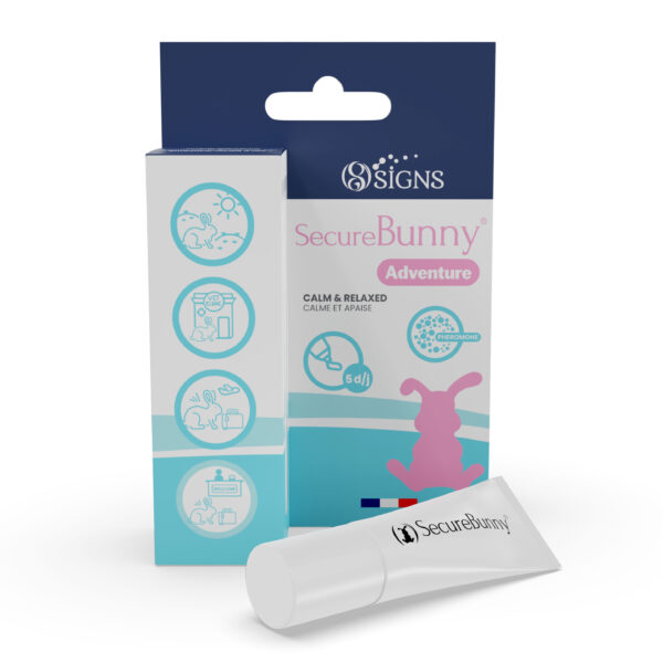SecureBunny Adventure