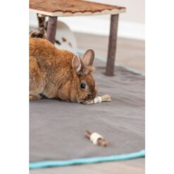 Alternative view of Set de jouets à ronger