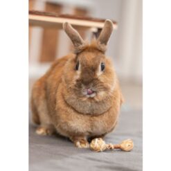 Alternative view of Haltères en bois et herbe