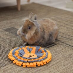 Alternative view of Tapis de fouille lapin