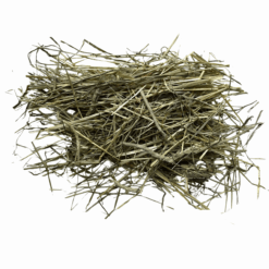 Foin de fléole (Timothy hay)