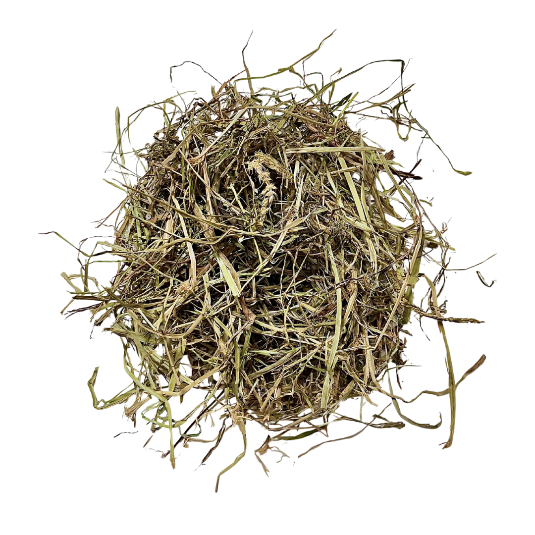 Plantain Séché - Friandises Naturelles Pour Lapins Et Rongeurs - Sachet De 150g