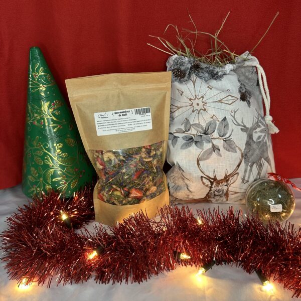 Sac de Noël