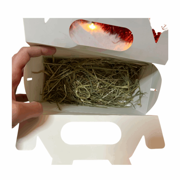 Coffret des Lutins – Image 3