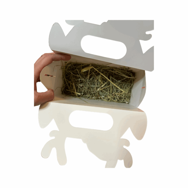 Coffret des Rennes – Image 3