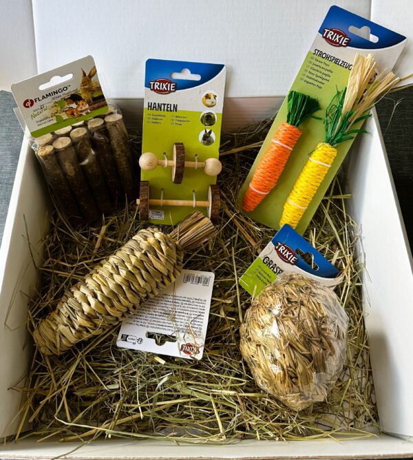 Box jouets – Image 2