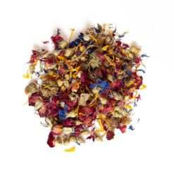 Alternative view of Pack Rentrée